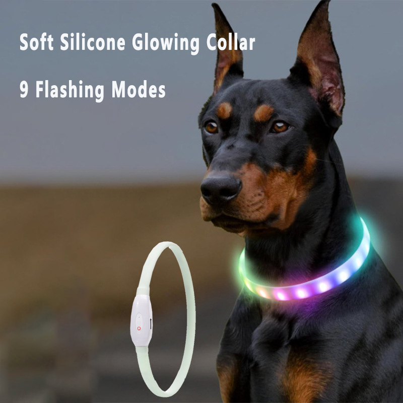 Led Dog Collar Glowing Rechargeable Usb - Büyük ve Küçük Köpekler için USB