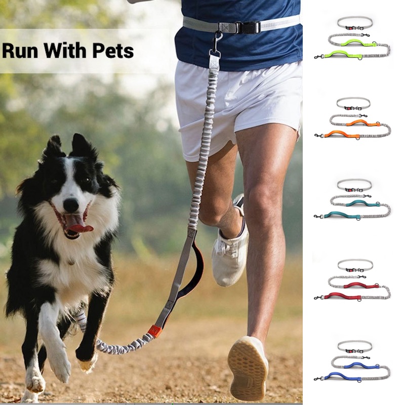 Bungee Dog Leash Shock Absorbing - Eller Serbest Koşu için Yansıtıcı Bungee