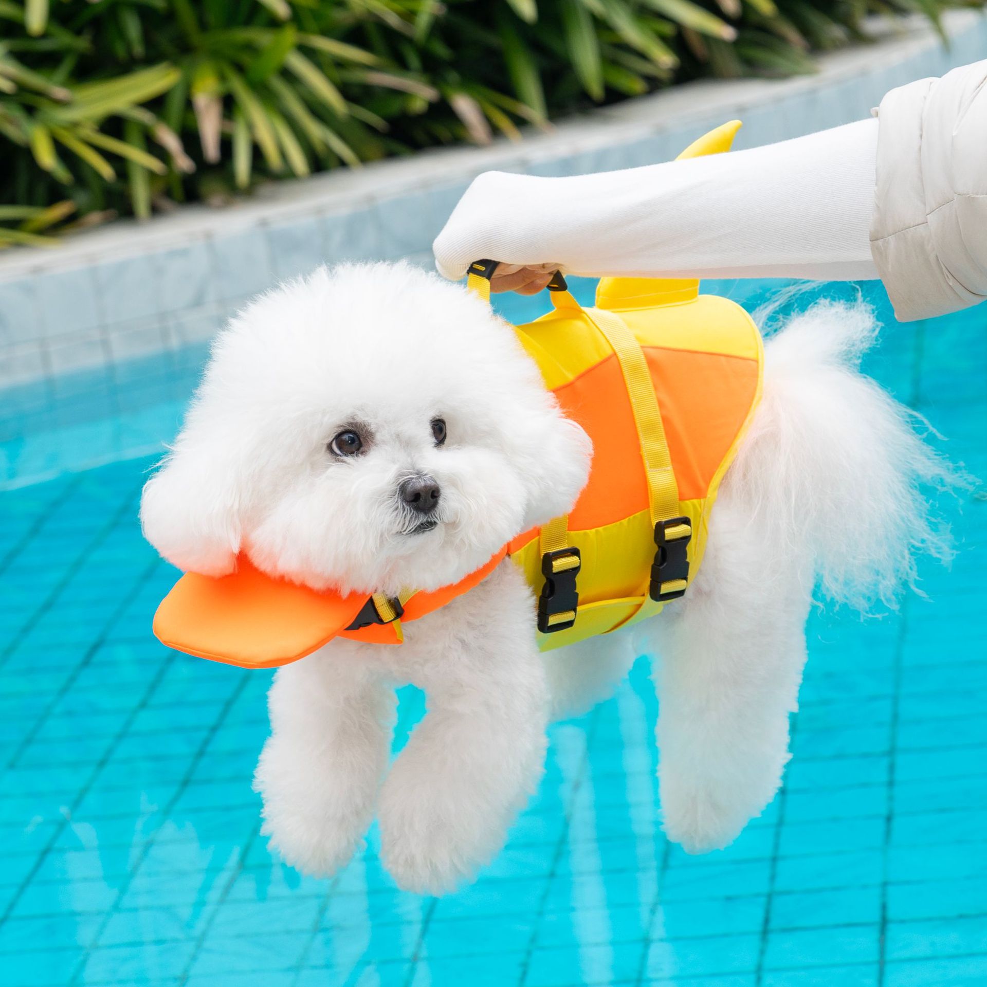 Dog Life Jacket Vest Buoyancy Handle - Kurtarma Saplı Sevimli Köpek Balığı Can