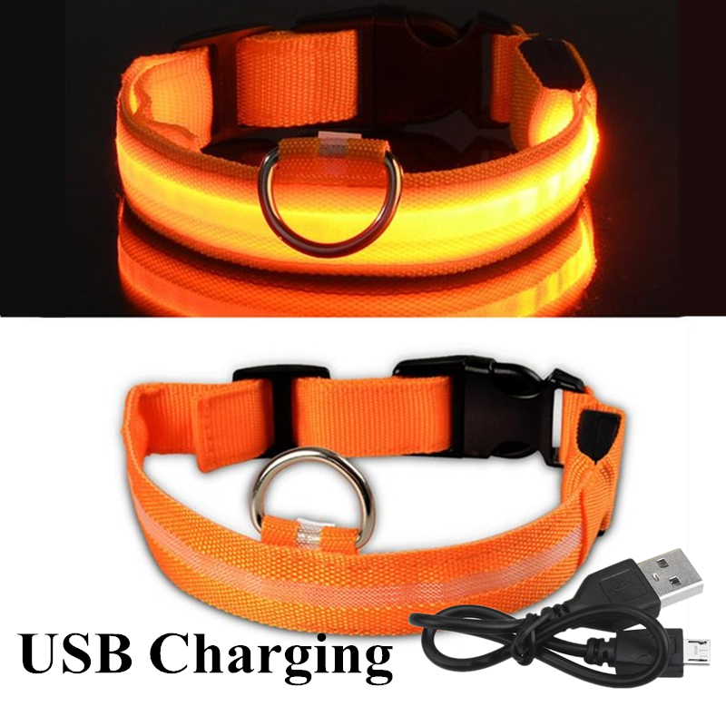Led Dog Collar Glowing Rechargeable Usb - Renkli USB şarj edilebilir Pet köpek