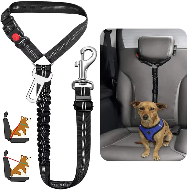 Bungee Dog Leash Shock Absorbing - 2'si 1 Arada Köpek Emniyet Kemeri
