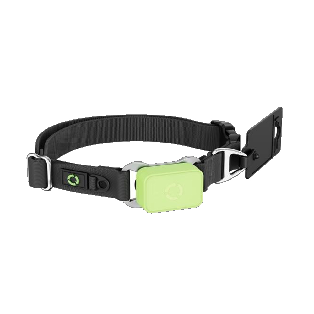 Pet Activity Health Monitor Tracker - Evcil Hayvan Sağlık Takip Cihazı 7/24