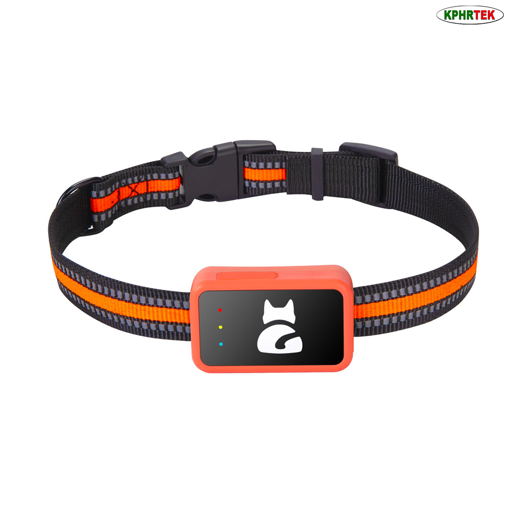 Pet Activity Health Monitor Tracker - G68P 4G GPS Köpek ve Kedi