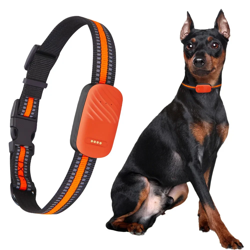 Dog Gps Tracker Collar 4G Waterproof - 4G Evcil Hayvan Tasmaları, Köpekler ve
