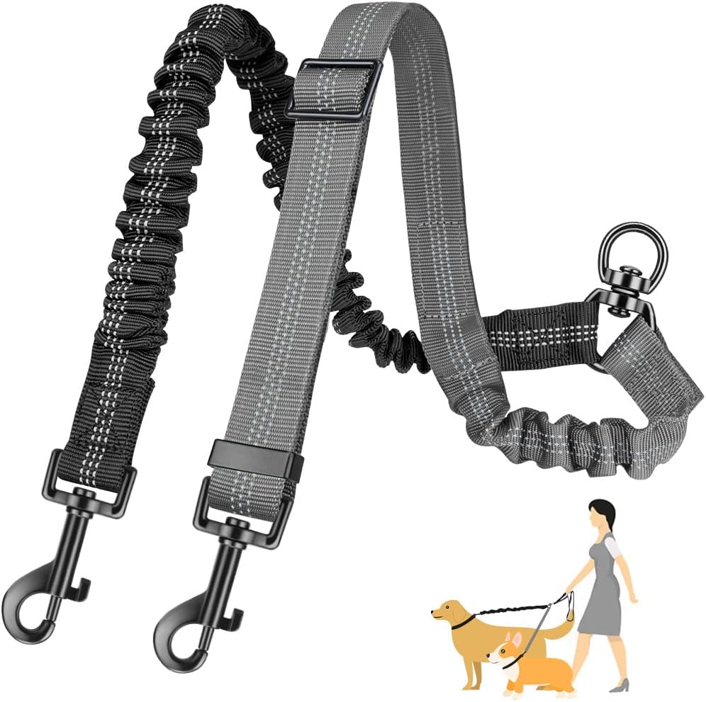 Bungee Dog Leash Shock Absorbing - Iki köpek kurşun, 2 in 1