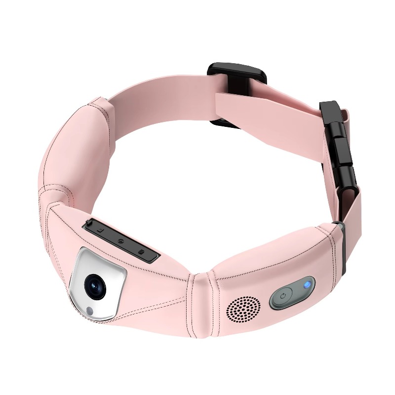 Dog Gps Tracker Collar 4G Waterproof - 4G GPS Evcil Hayvan Takip Cihazı
