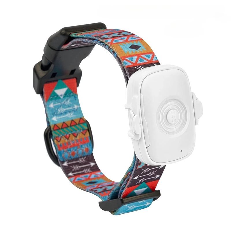 Dog Gps Tracker Collar 4G Waterproof - 【OLARAK GELİŞMİŞ TİP】Gerçek Zamanlı Takip GPS