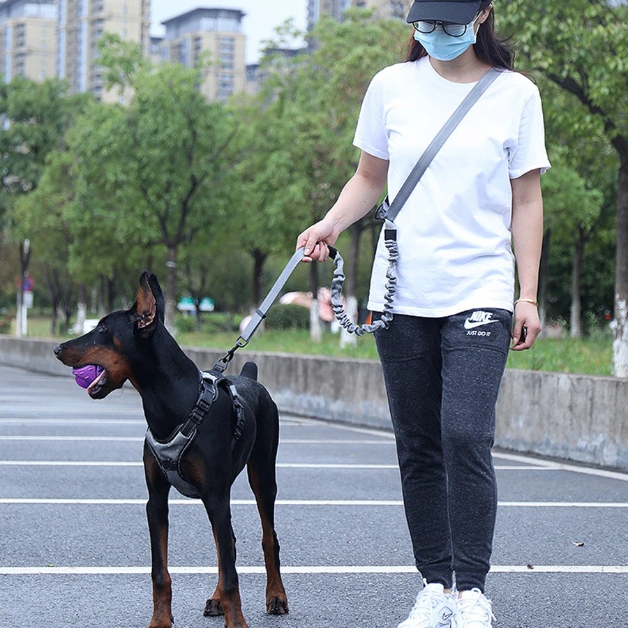 Hands Free Dog Running Leash Waist Belt - Evcil Hayvan Yürüyüşü, Koşusu ve Joggingu