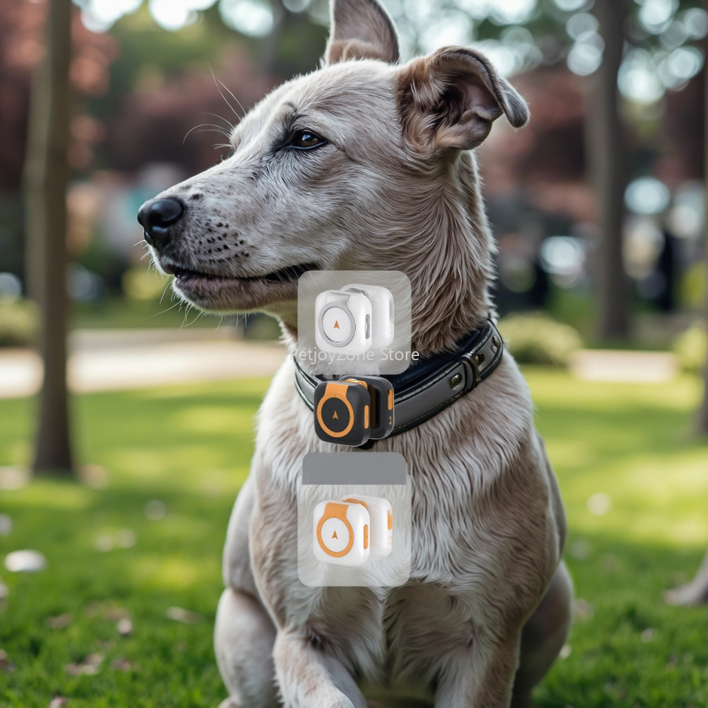 Dog Gps Tracker Collar 4G Waterproof - Popüler GPS Evcil Hayvan Takip Cihazı