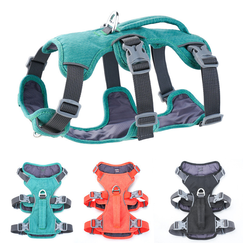 Bungee Dog Leash Shock Absorbing - Yansıtıcı Yelek Tipi Darbe Emici Küçük