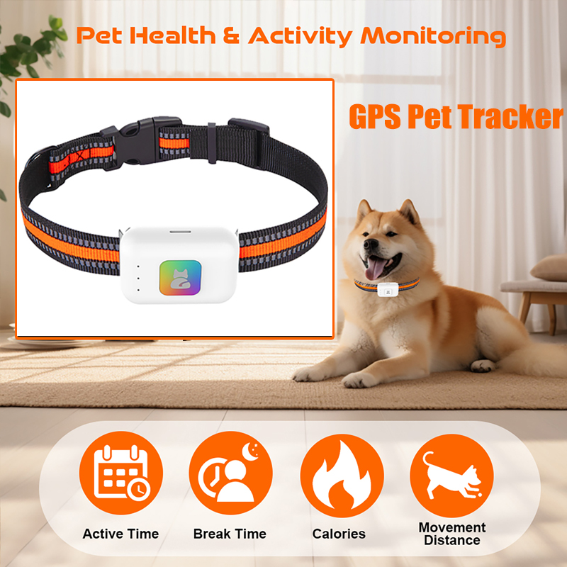 Dog Gps Tracker Collar 4G Waterproof - Renkli LED Işıklı Taşınabilir GPS İzleyici