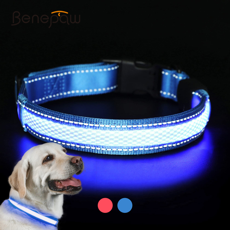 Led Dog Collar Glowing Rechargeable Usb - Benepaw LED köpek tasması USB Şarj