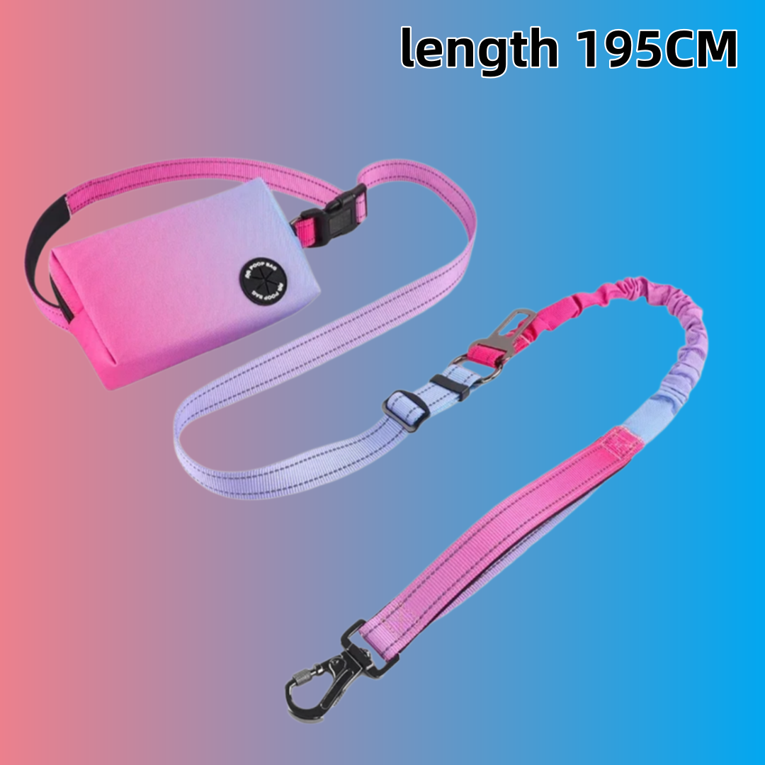 Bungee Dog Leash Shock Absorbing - Degrade Renkli Eller Serbest Köpek Tasması,