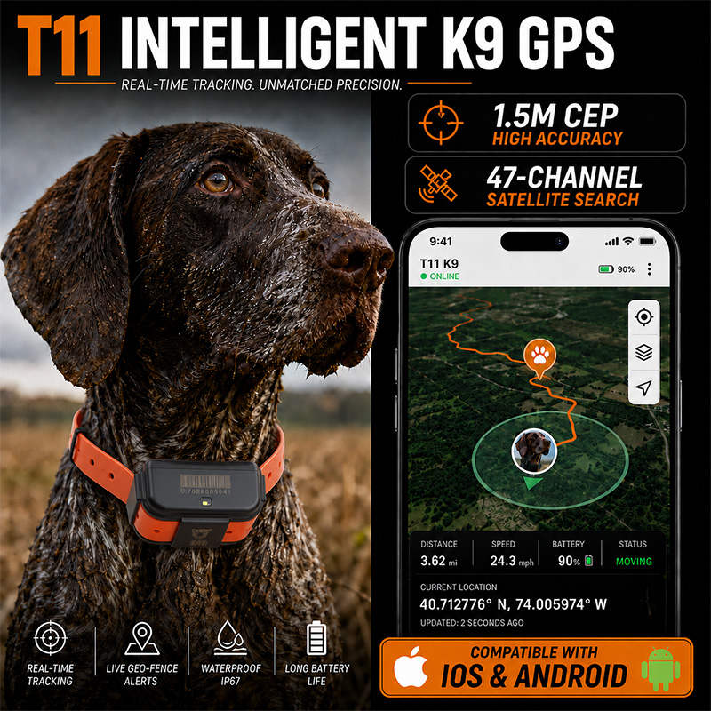 Dog Gps Tracker Collar 4G Waterproof - T11 4G GPS Köpek İzleyici Av