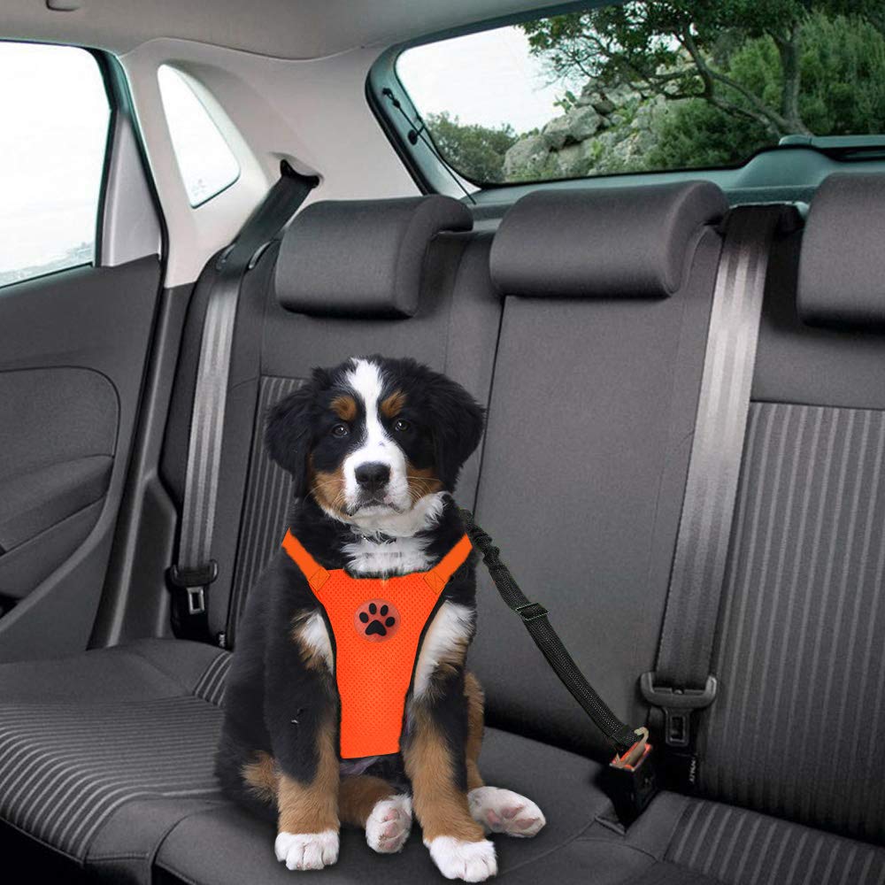 Dog Seat Belt Harness Safety Tether - Köpek araba demeti emniyet kemeri seti,