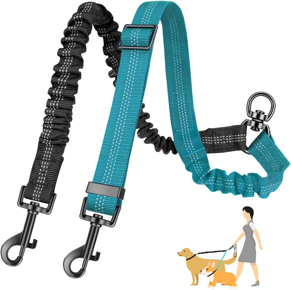 Bungee Dog Leash Shock Absorbing - Küçük ve Büyük Köpekler Eğitimi için