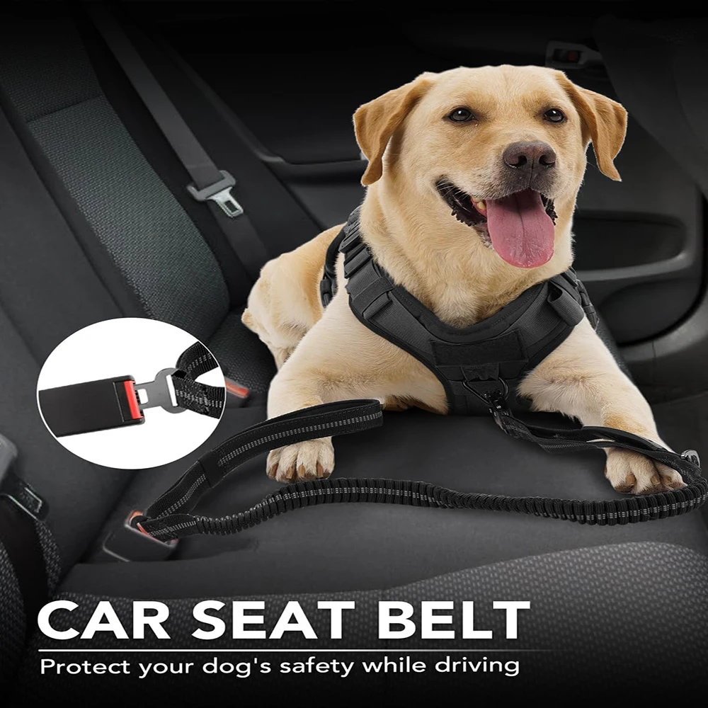 Hiçbir çekme köpek tasma yansı - Bungee Dog Leash Shock Absorbing incelemesi ve fiyatı