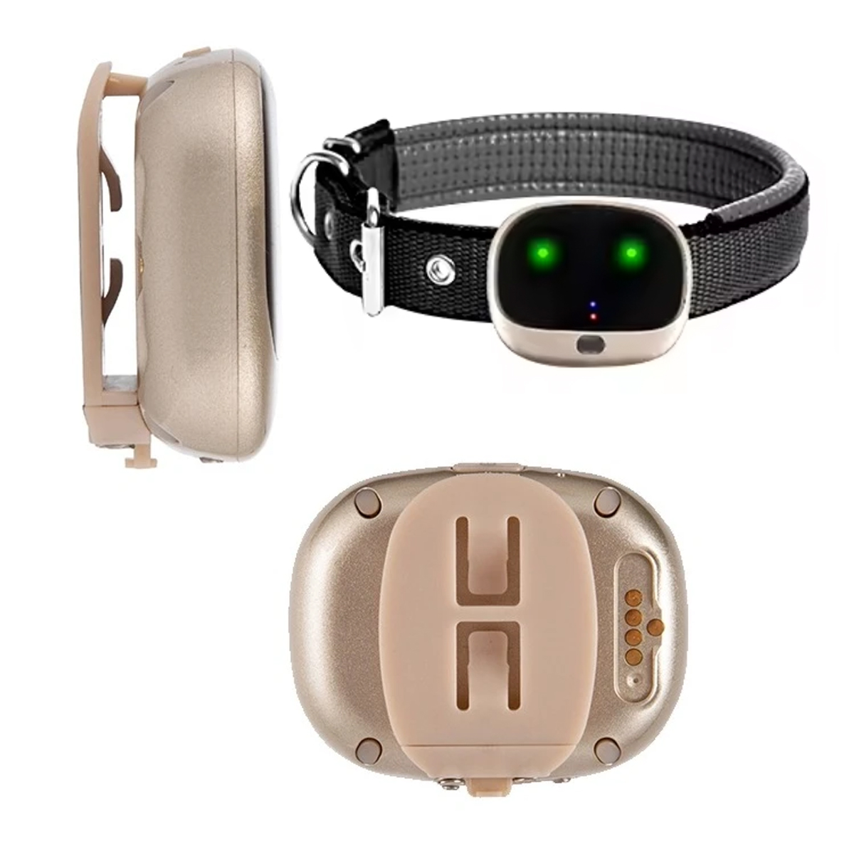 4G su geçirmez Gps takip cihaz - Dog Gps Tracker Collar 4G Waterproof incelemesi ve fiyatı