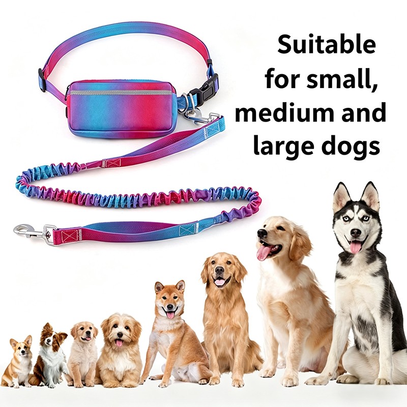 Köpek tasması koşu elastikiyet - Hands Free Dog Running Leash Waist Belt incelemesi ve fiyatı