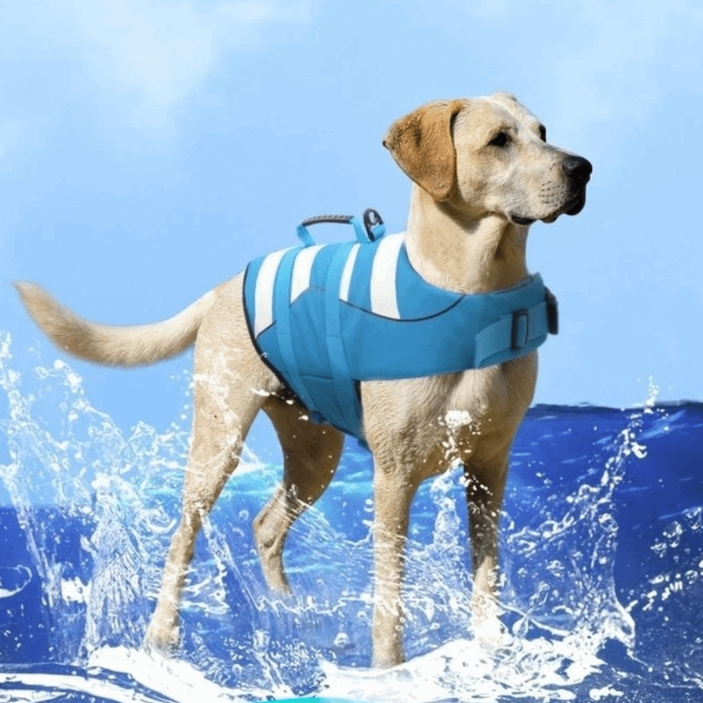 Yansıtıcı Köpek Can Yeleği Üst - Dog Life Jacket Vest Buoyancy Handle incelemesi ve fiyatı