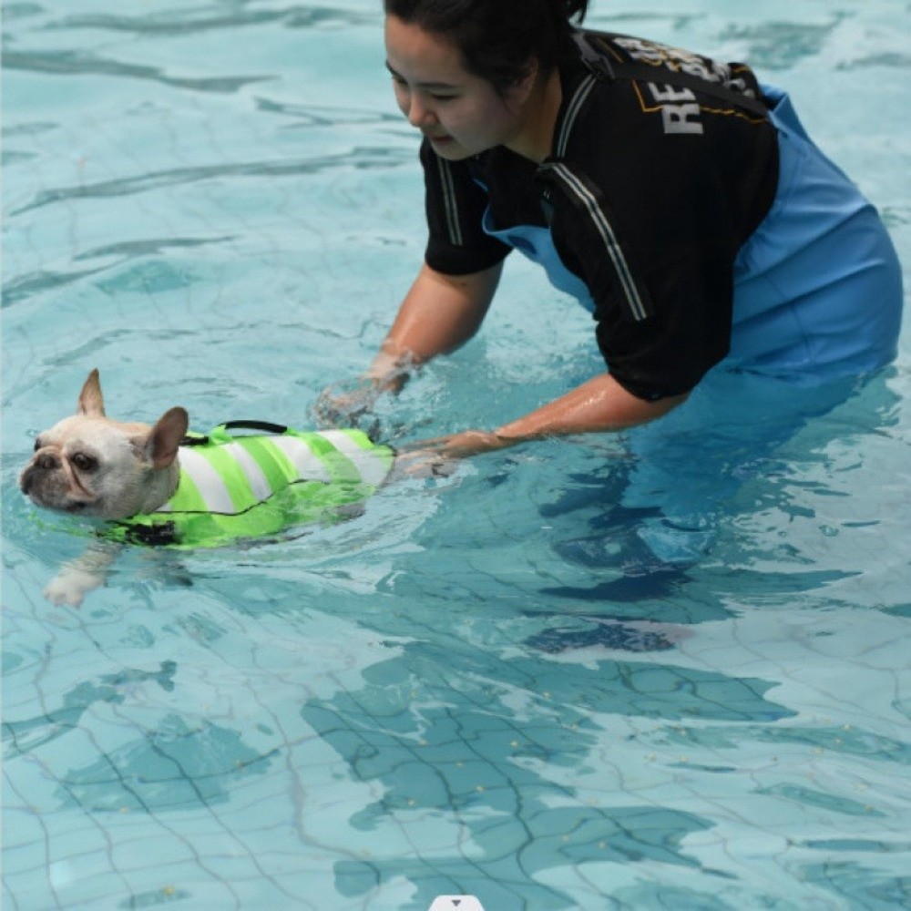 Yansıtıcı Köpek Can Yeleği Üst - Dog Life Jacket Vest Buoyancy Handle incelemesi ve fiyatı