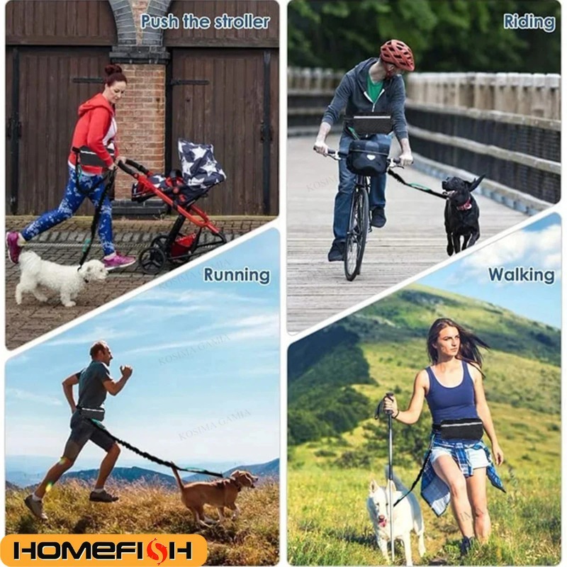 Çok Fonksiyonlu Evcil Hayvan M - Hands Free Dog Running Leash Waist Belt incelemesi ve fiyatı