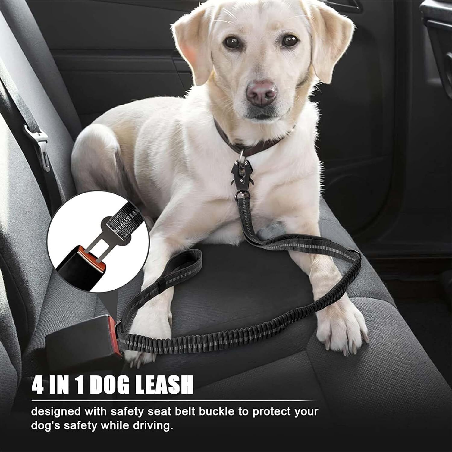 Yansıtıcı Darbe Emici Evcil Ha - Bungee Dog Leash Shock Absorbing incelemesi ve fiyatı