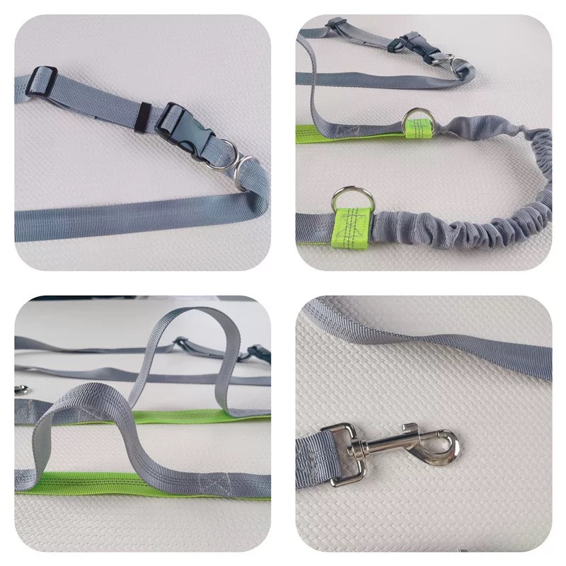 Eller Serbest Koşu için Yansıt - Bungee Dog Leash Shock Absorbing incelemesi ve fiyatı