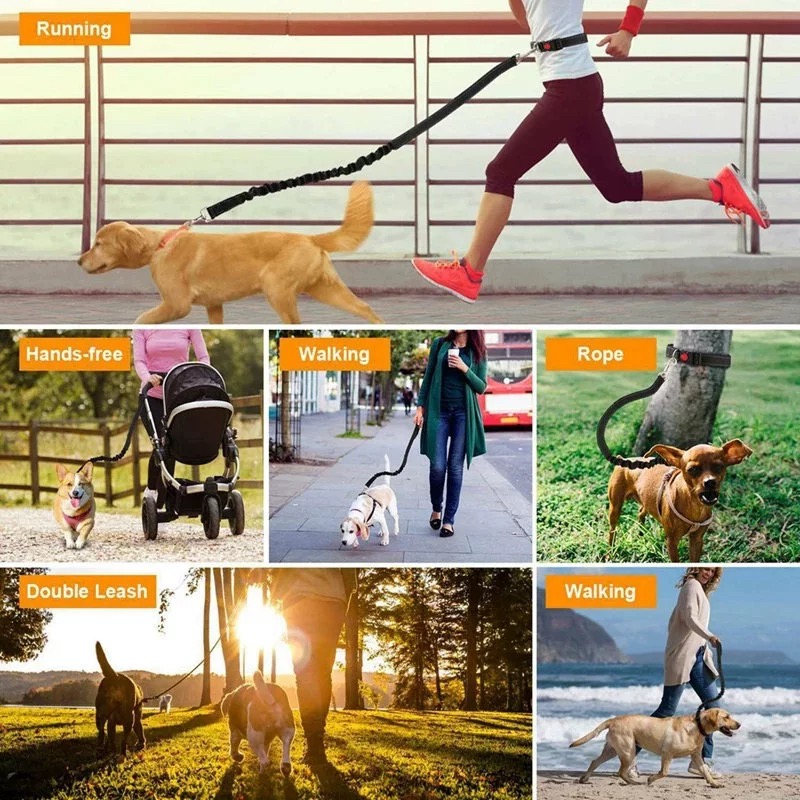 Eller Serbest Koşu için Yansıt - Bungee Dog Leash Shock Absorbing incelemesi ve fiyatı