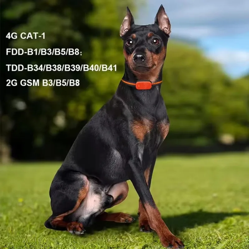 CANBOUN En Çok Satan Su Geçirm - Dog Gps Tracker Collar 4G Waterproof incelemesi ve fiyatı