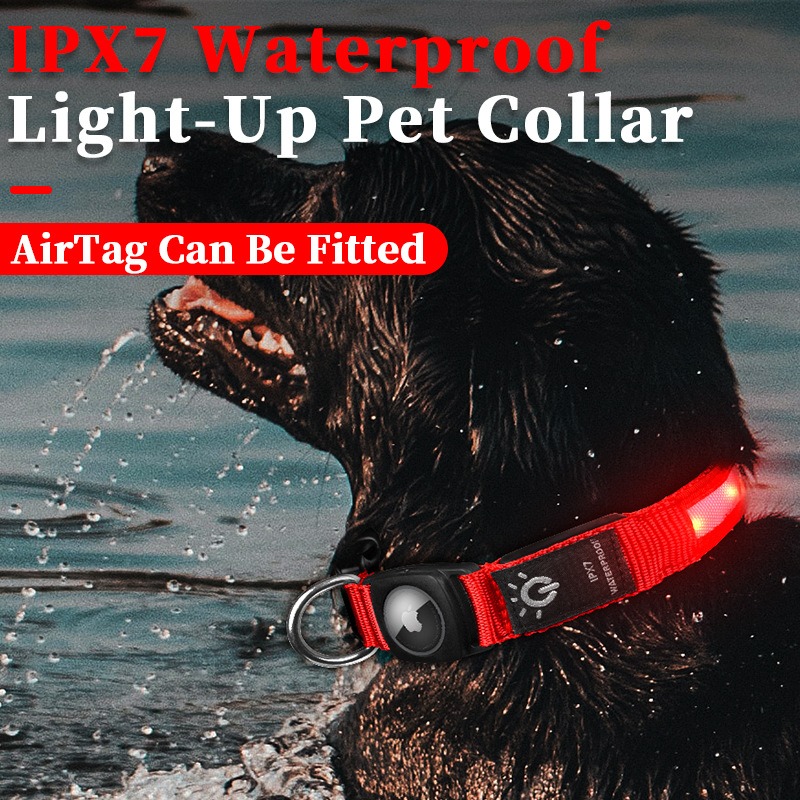 Popüler USB Şarjlı LED Işıklı  - Led Dog Collar Glowing Rechargeable Usb incelemesi ve fiyatı
