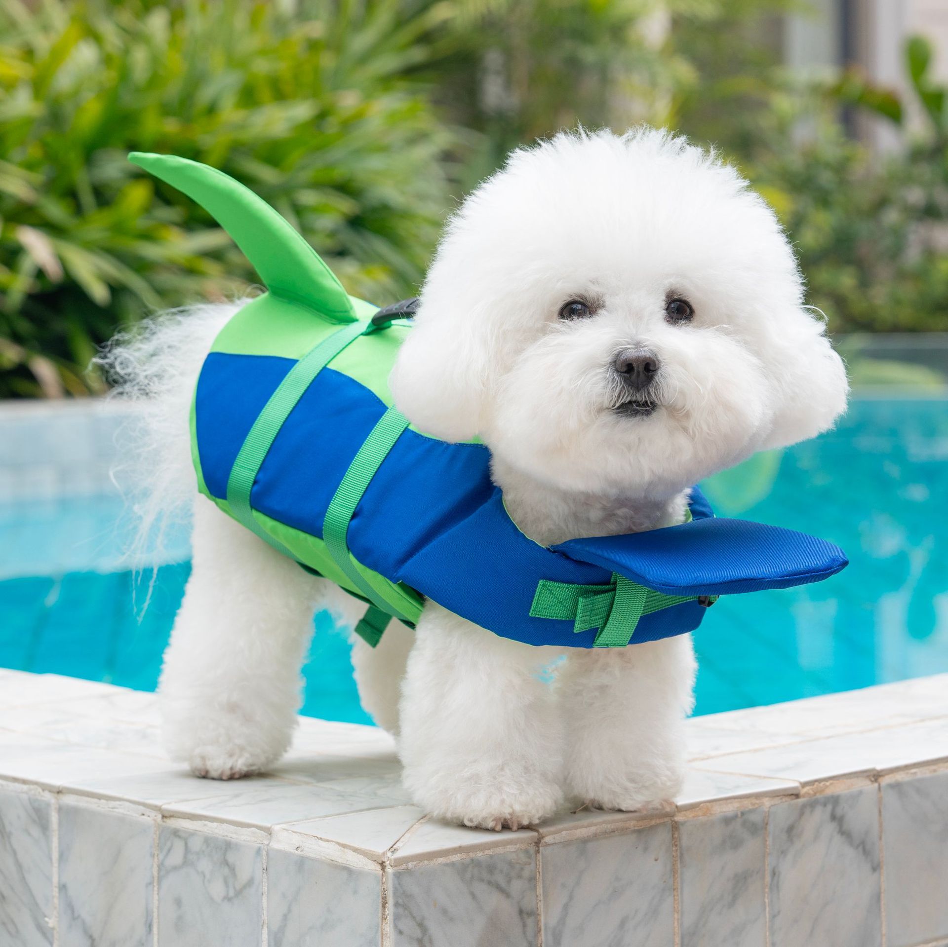 Kurtarma Saplı Sevimli Köpek B - Dog Life Jacket Vest Buoyancy Handle incelemesi ve fiyatı