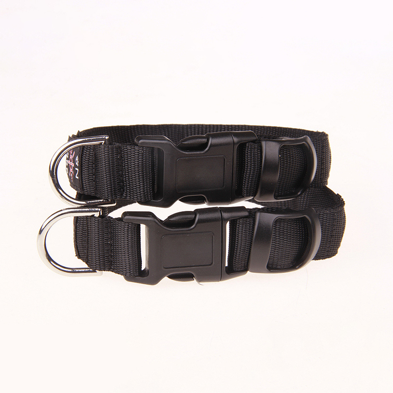 Pinkycolor USB şarj LED köpek  - Led Dog Collar Glowing Rechargeable Usb incelemesi ve fiyatı