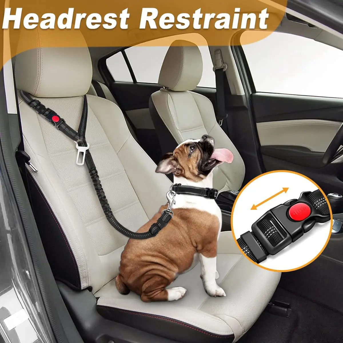 2'si 1 Arada Köpek Emniyet Kem - Bungee Dog Leash Shock Absorbing incelemesi ve fiyatı