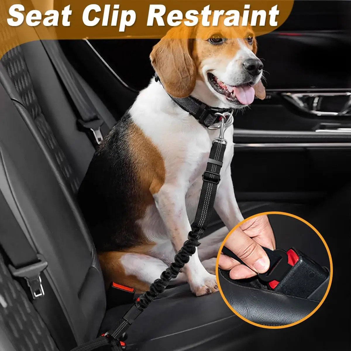 2'si 1 Arada Köpek Emniyet Kem - Bungee Dog Leash Shock Absorbing incelemesi ve fiyatı