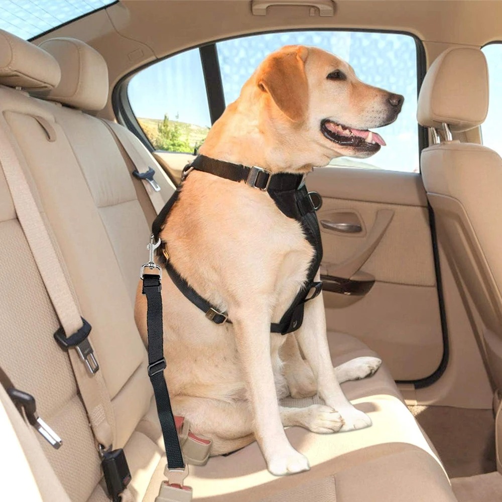 1 Adet Ayarlanabilir Naylon Kö - Dog Seat Belt Harness Safety Tether incelemesi ve fiyatı