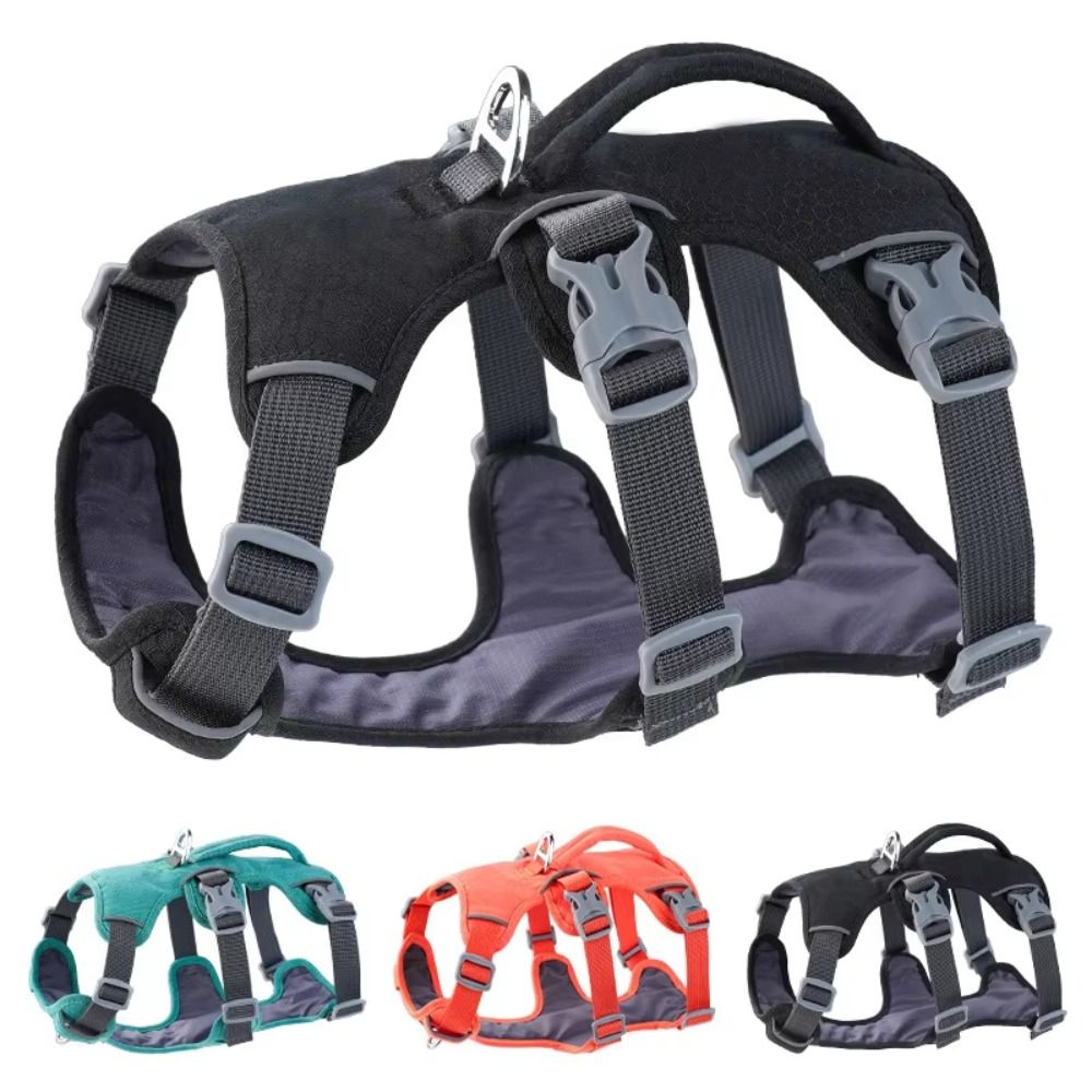 Yansıtıcı Yelek Köpek Tasması  - Bungee Dog Leash Shock Absorbing incelemesi ve fiyatı