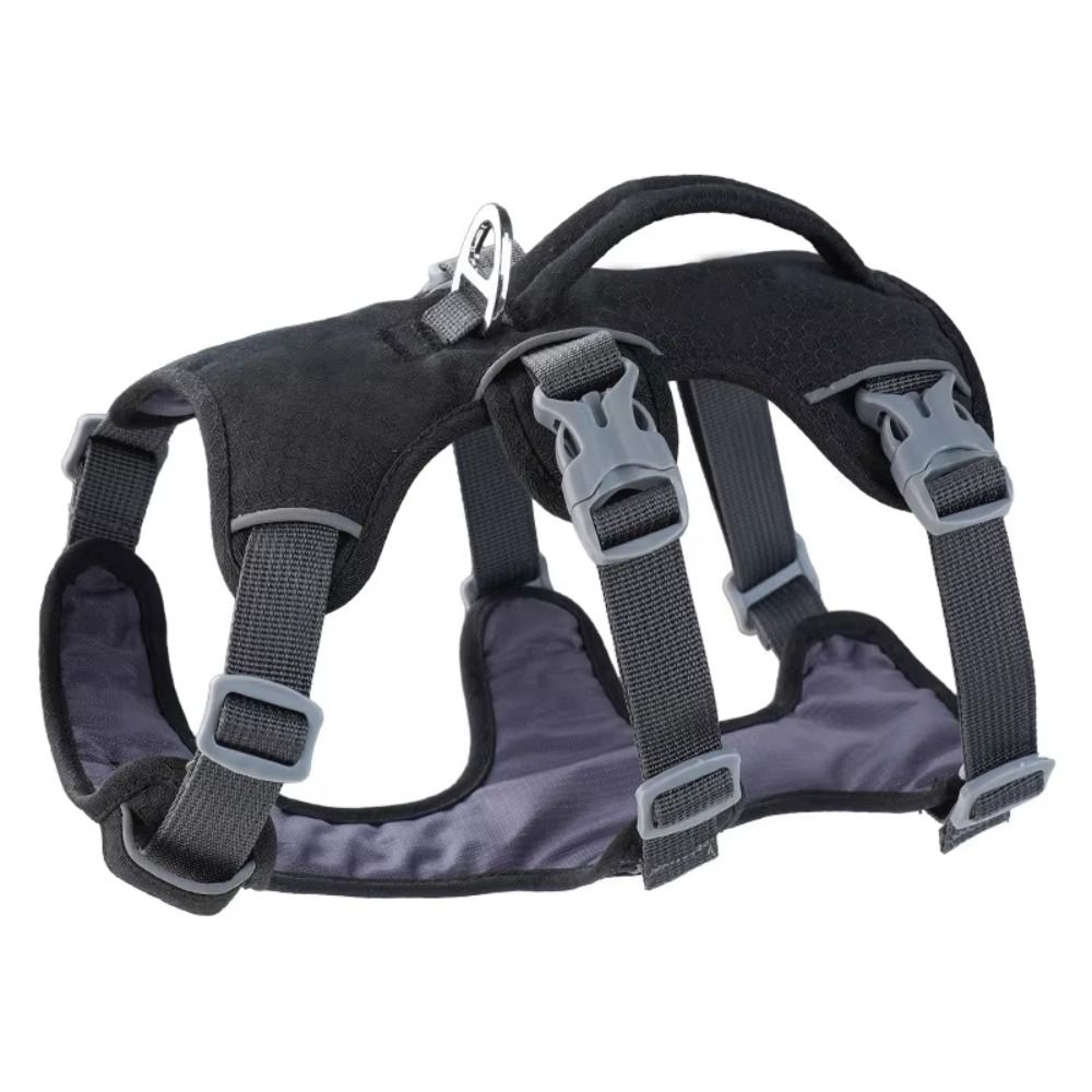 Yansıtıcı Yelek Köpek Tasması  - Bungee Dog Leash Shock Absorbing incelemesi ve fiyatı