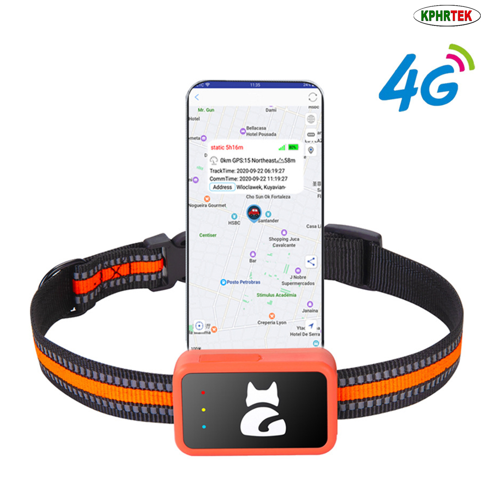 G68P 4G GPS Köpek ve Kedi Taki - Pet Activity Health Monitor Tracker incelemesi ve fiyatı