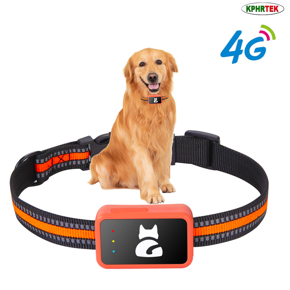 G68P 4G GPS Köpek ve Kedi Taki - Pet Activity Health Monitor Tracker incelemesi ve fiyatı