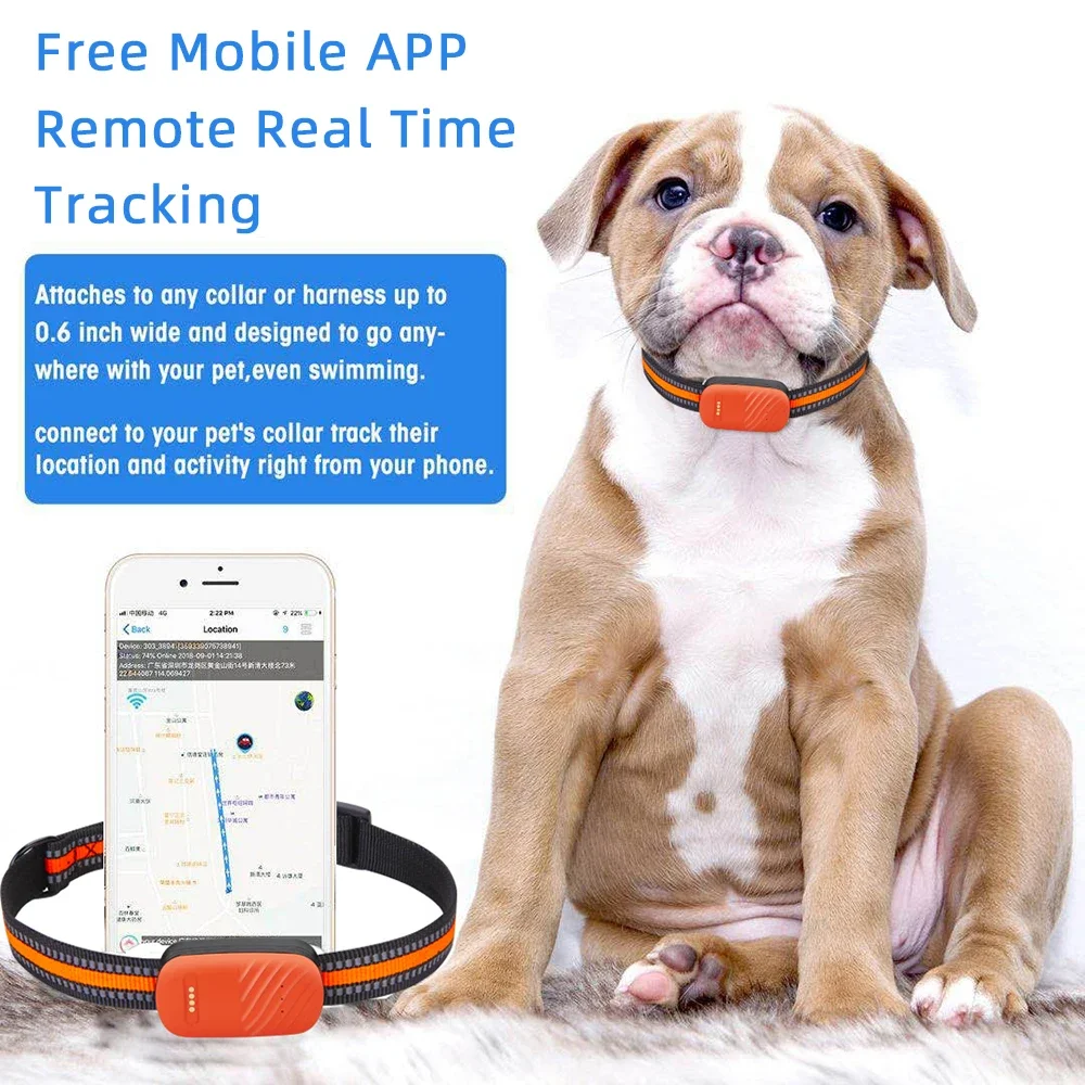 4G Evcil Hayvan Tasmaları, Köp - Dog Gps Tracker Collar 4G Waterproof incelemesi ve fiyatı