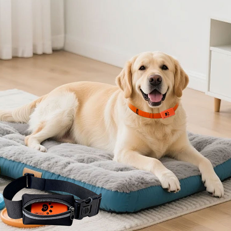 Evcil Hayvan Aktivite Monitörü - Pet Activity Health Monitor Tracker incelemesi ve fiyatı