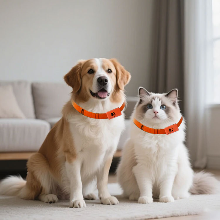 Evcil Hayvan Aktivite Monitörü - Pet Activity Health Monitor Tracker incelemesi ve fiyatı