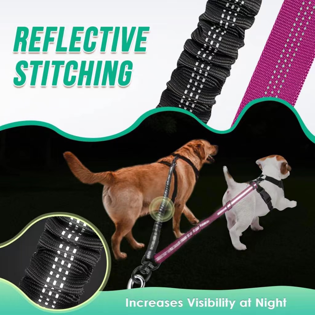 Iki köpek kurşun, 2 in 1 yükse - Bungee Dog Leash Shock Absorbing incelemesi ve fiyatı