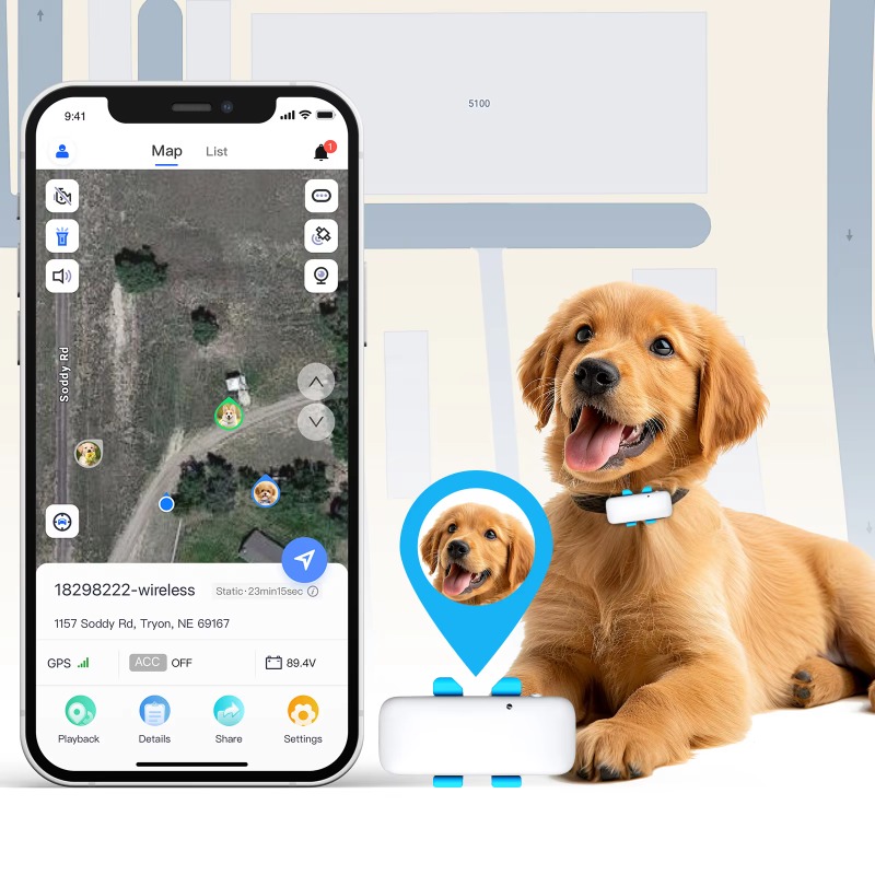 Akıllı Evcil Hayvan GPS İzleyi - Dog Gps Tracker Collar 4G Waterproof incelemesi ve fiyatı