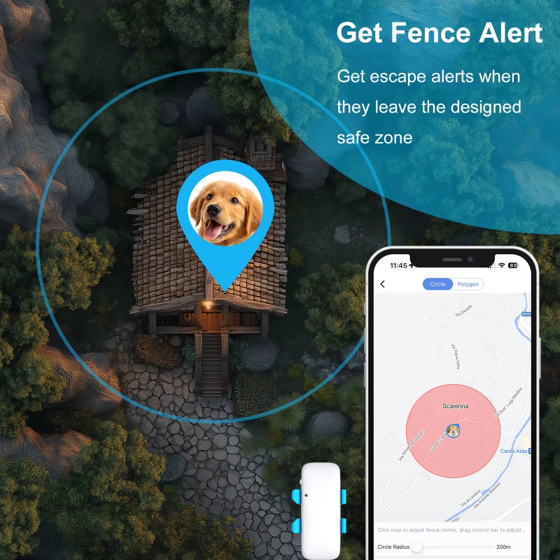 Akıllı Evcil Hayvan GPS İzleyi - Dog Gps Tracker Collar 4G Waterproof incelemesi ve fiyatı