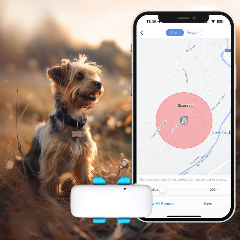 Akıllı Evcil Hayvan GPS İzleyi - Dog Gps Tracker Collar 4G Waterproof incelemesi ve fiyatı