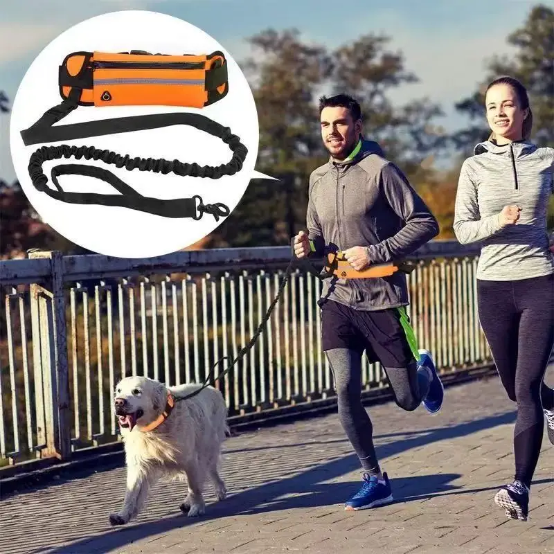 Eller Serbest Köpek Tasması, B - Hands Free Dog Running Leash Waist Belt incelemesi ve fiyatı
