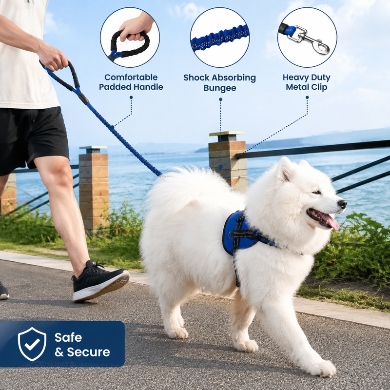 Orta ve Büyük Boy Köpekler İçi - Bungee Dog Leash Shock Absorbing incelemesi ve fiyatı