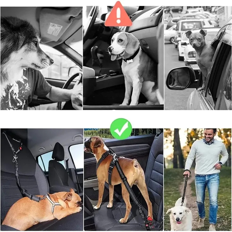 2'si 1 arada Ayarlanabilir Yan - Dog Seat Belt Harness Safety Tether incelemesi ve fiyatı